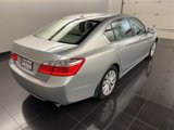 Used 2014 Honda Accord EX-L image 6