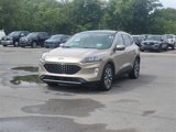 Used 2020 Ford Escape Titanium w/ Titanium Premium Package 2.0 image 2