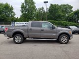 Used 2014 Ford F150 XLT w/ Equipment Group 302A Luxury image 3