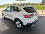 Used 2020 Ford Escape SE image 5