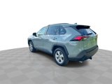 Used 2019 Toyota RAV4 XLE image 6