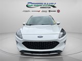 Used 2020 Ford Escape SEL image 2