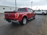 Used 2014 Ford F150 XLT w/ Equipment Group 302A Luxury image 5