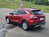 Used 2021 Ford Escape SE image 3