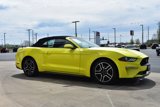 Used 2021 Ford Mustang Premium image 4
