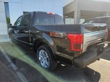 Used 2018 Ford F150 Platinum w/ Equipment Group 701A Luxury image 3