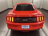 Used 2016 Ford Mustang GT Premium w/ Equipment Group 401A image 5