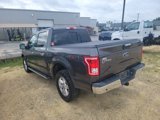 Used 2017 Ford F150 XLT w/ Equipment Group 302A Luxury image 4