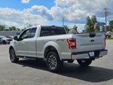Used 2019 Ford F150 XLT w/ Equipment Group 302A Luxury image 4