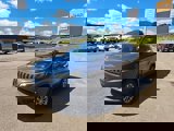 View Video