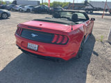 Used 2022 Ford Mustang Premium image 5