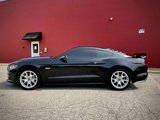 Used 2015 Ford Mustang GT Premium w/ 50 Years Appearance Package image 2