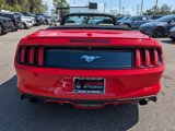 Used 2017 Ford Mustang Premium image 5