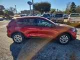 New 2025 Ford Escape Active w/ Tech Pack #1 image 4