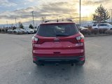 Used 2017 Ford Escape SE w/ Equipment Group 201A image 6