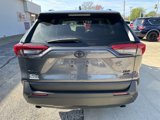 Used 2019 Toyota RAV4 XLE image 5