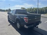 Used 2014 Ford F150 XLT w/ Equipment Group 302A Luxury image 5