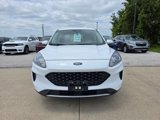 Used 2020 Ford Escape SE image 2
