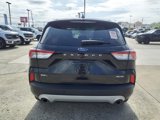 Used 2022 Ford Escape SEL image 4