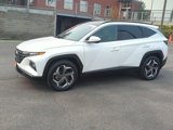 Used 2023 Hyundai Tucson Limited image 3