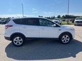 Used 2014 Ford Escape SE image 2