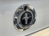 Used 2005 Ford Mustang Deluxe image 6