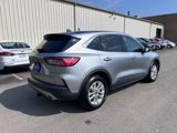 Used 2022 Ford Escape SE w/ Convenience Package image 5