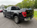 Certified 2023 Ford F150 XLT w/ Equipment Group 302A High image 4