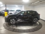 Used 2020 Lexus UX 250h w/ Premium Package image 4