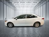 Certified 2024 Toyota Corolla LE image 5