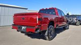 Used 2024 Ford F250 XLT w/ Black Appearance Package image 6