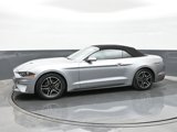 Used 2022 Ford Mustang Premium image 4