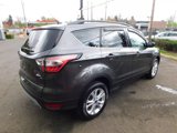 Used 2017 Ford Escape SE w/ SE Leather Comfort Package image 4