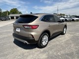 Used 2021 Ford Escape SE w/ Convenience Package image 4