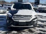 Used 2019 Ford Escape SE image 2