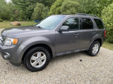 Used 2010 Ford Escape XLT image 5