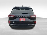 Used 2024 Ford Escape ST-Line image 6