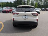 Used 2022 Ford Escape SE w/ SE Sport Appearance Package image 4