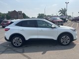 Used 2020 Ford Escape SEL image 4