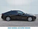 Used 2024 Honda Accord LX image 6