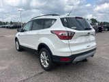 Used 2017 Ford Escape SE w/ Equipment Group 201A image 6