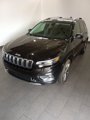 Used 2019 Jeep Cherokee Overland image 2