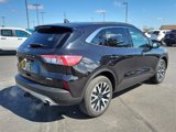Certified 2020 Ford Escape SEL image 4