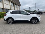 Used 2020 Ford Escape SEL image 3