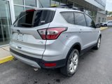 Used 2017 Ford Escape SE w/ SE Leather Comfort Package image 4