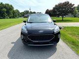 Used 2020 Ford Escape SEL image 2