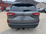 New 2025 Ford Escape ST-Line Elite w/ Tech Pack #2 image 4