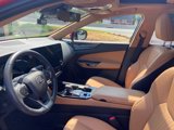 Used 2023 Lexus NX 350h AWD w/ Premium Package image 2