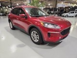 Certified 2020 Ford Escape SE image 4