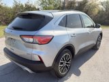 Certified 2022 Ford Escape Titanium w/ Titanium Premium Package image 3